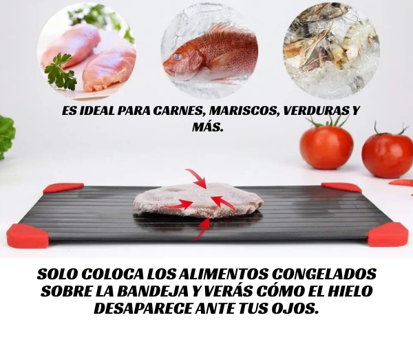 FrostAway™ – Bandeja de Descongelación Rápida para Alimentos.